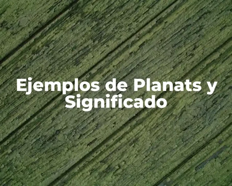 Ejemplos de Planats y Significado