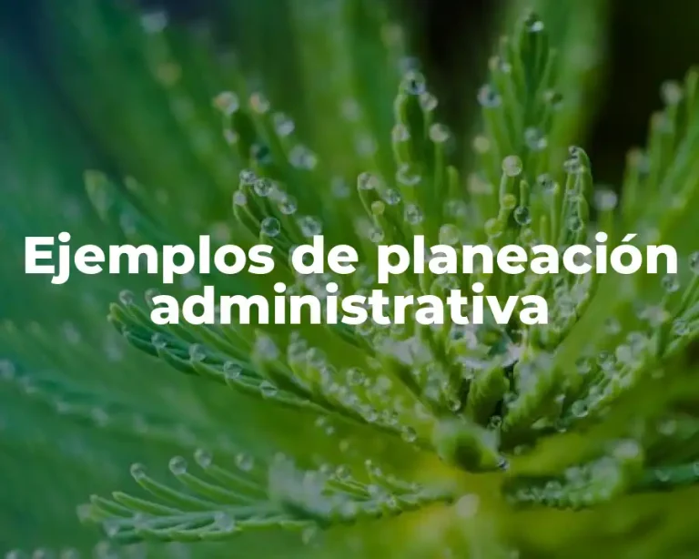 Ejemplos de planeación administrativa