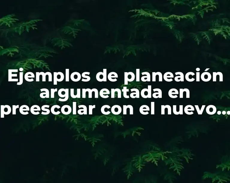 Ejemplos de planeación argumentada en preescolar con el nuevo modelo