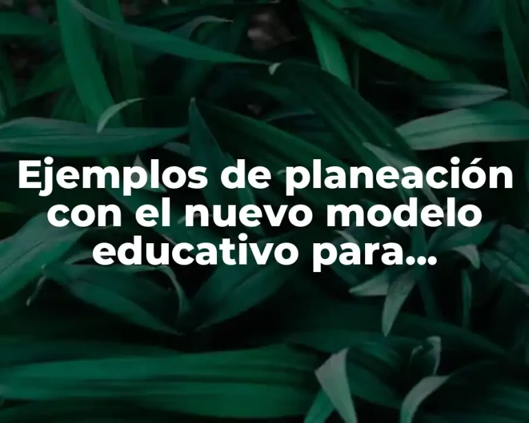 Ejemplos de planeación con el nuevo modelo educativo para preescolar
