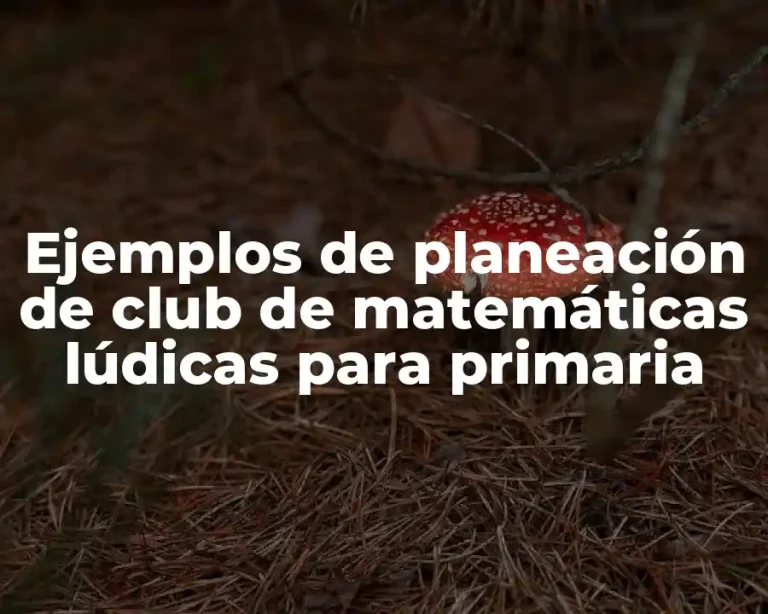 Ejemplos de planeación de club de matemáticas lúdicas para primaria