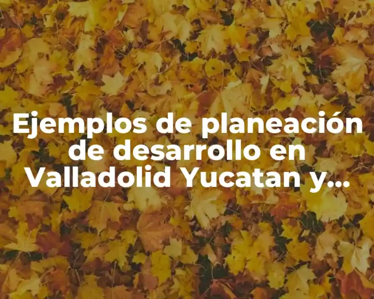 Ejemplos de planeación de desarrollo en Valladolid Yucatan y Significado