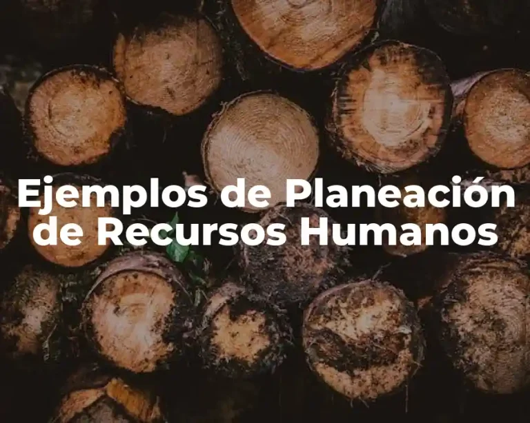 Ejemplos de Planeación de Recursos Humanos