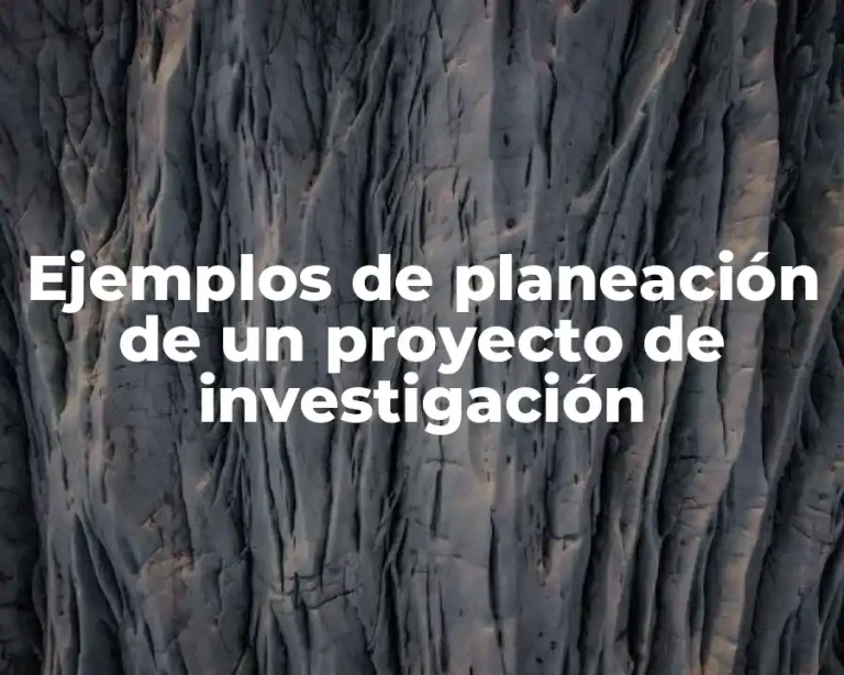 Ejemplos de planeación de un proyecto de investigación