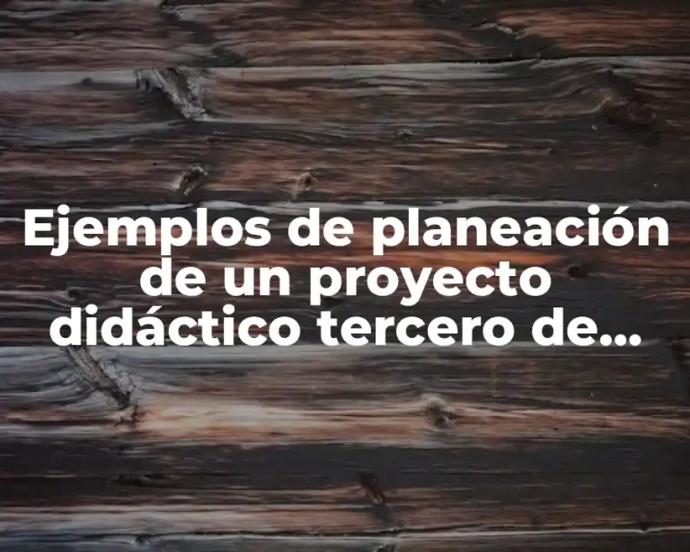 Ejemplos de planeación de un proyecto didáctico tercero de primaria