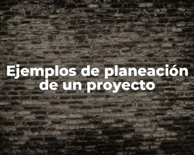 Ejemplos de planeación de un proyecto