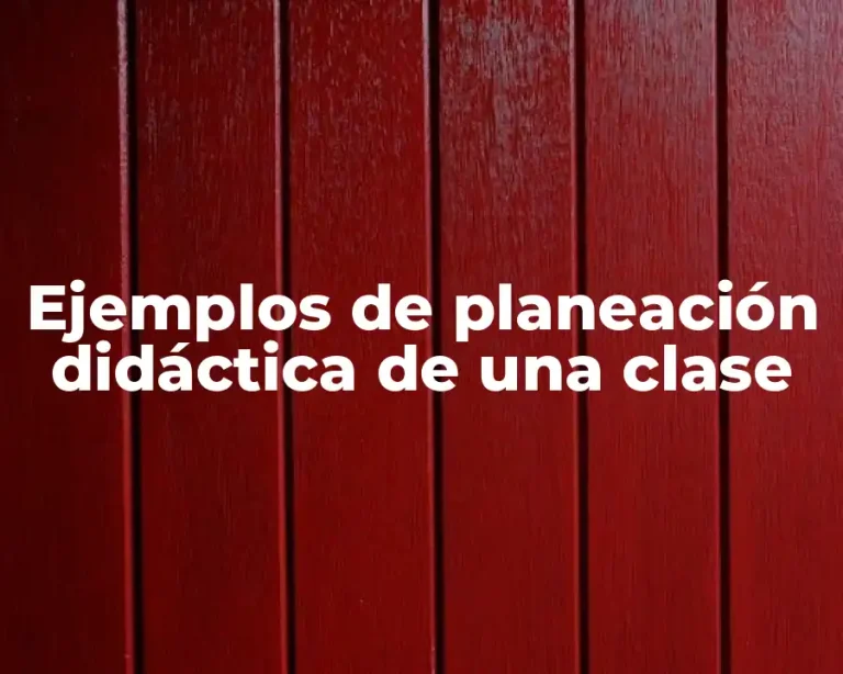 Ejemplos de planeación didáctica de una clase
