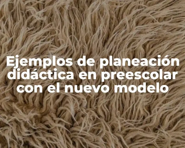 Ejemplos de planeación didáctica en preescolar con el nuevo modelo