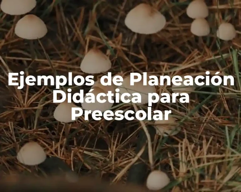 Ejemplos de Planeación Didáctica para Preescolar