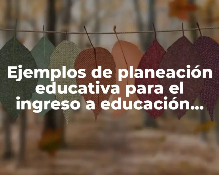 Ejemplos de planeación educativa para el ingreso a educación básica