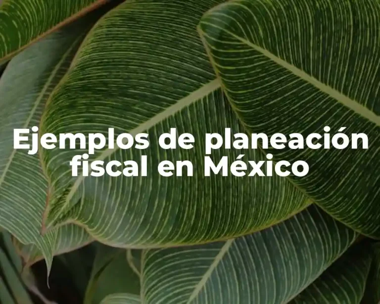 Ejemplos de planeación fiscal en México