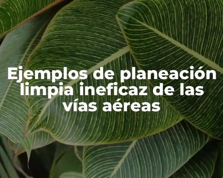 Ejemplos de planeación limpia ineficaz de las vías aéreas