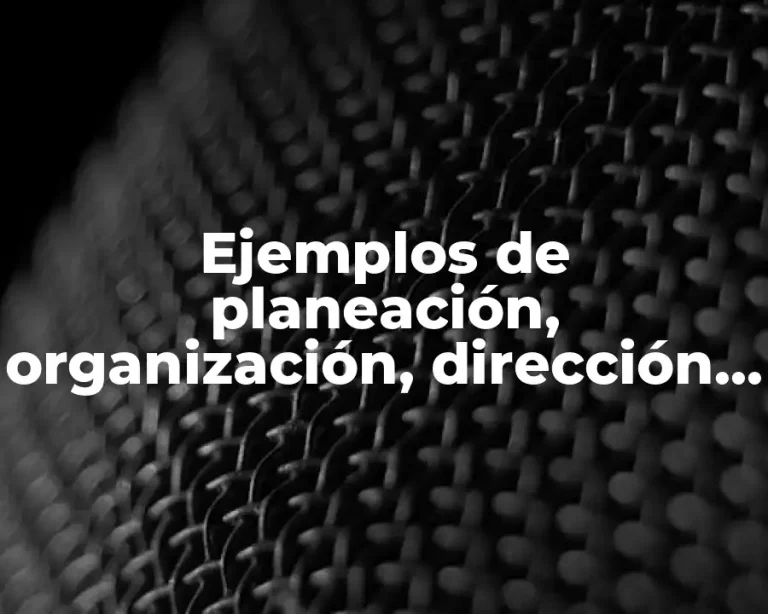 Ejemplos de planeación, organización, dirección y control