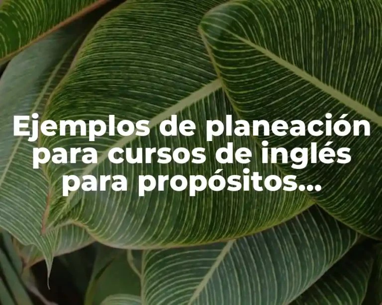 Ejemplos de planeación para cursos de inglés para propósitos específicos