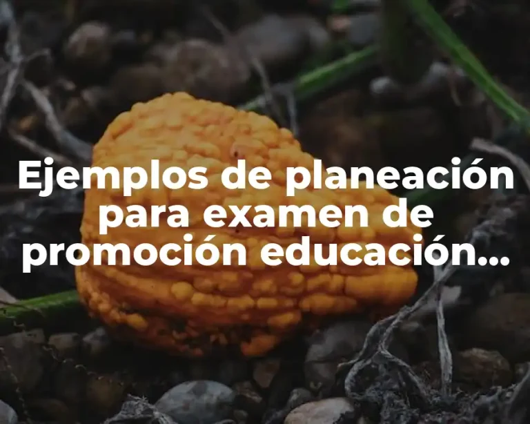 Ejemplos de planeación para examen de promoción educación media superior