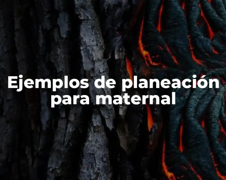 Ejemplos de planeación para maternal