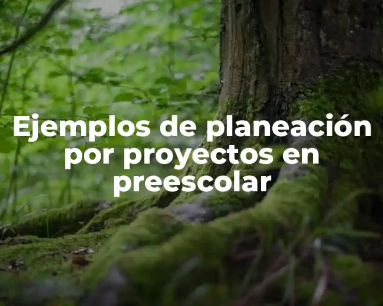 Ejemplos de planeación por proyectos en preescolar