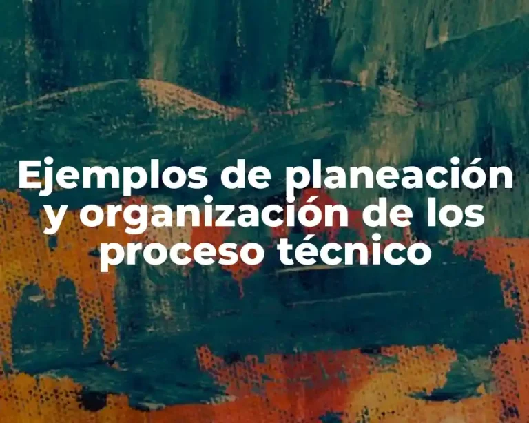 Ejemplos de planeación y organización de los proceso técnico