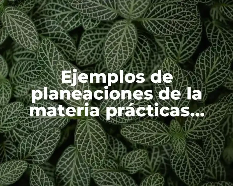Ejemplos de planeaciones de la materia prácticas sociales del lenguaje y Significado