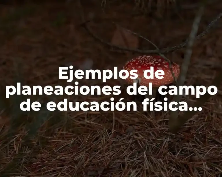 Ejemplos de planeaciones del campo de educación física para preescolar