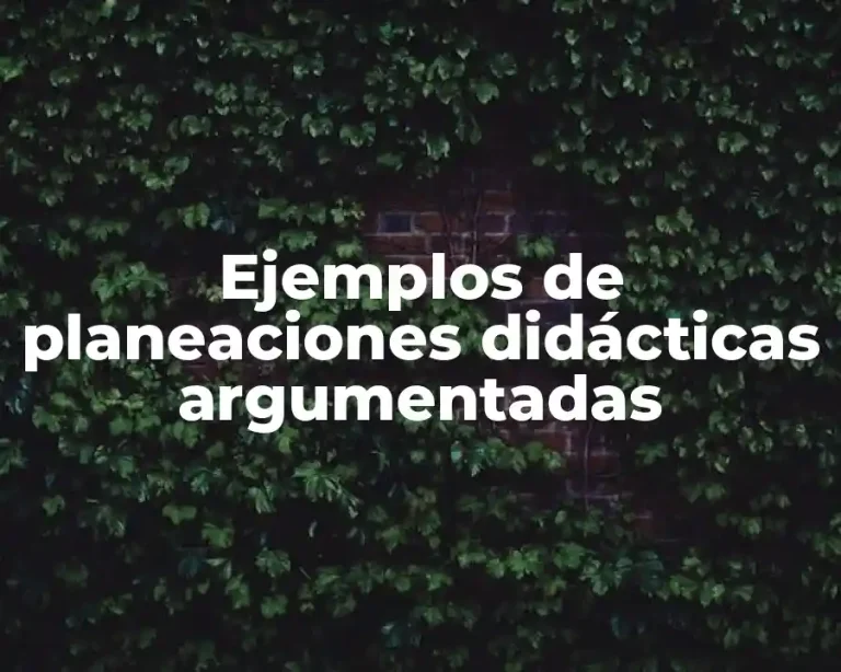 Ejemplos de planeaciones didácticas argumentadas