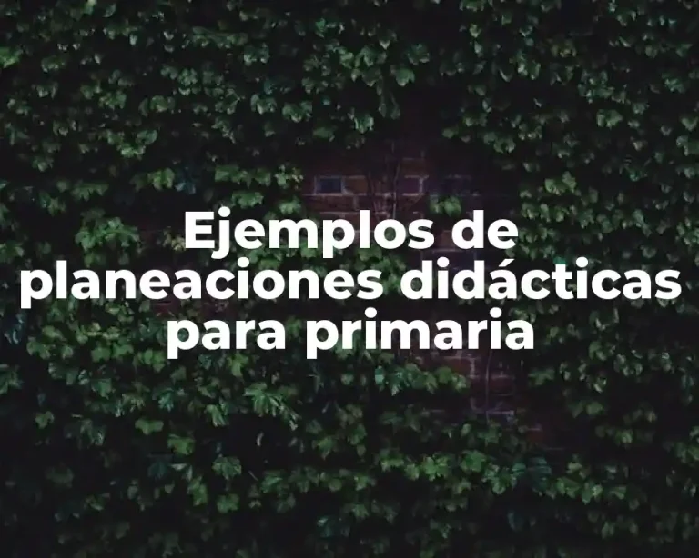 Ejemplos de planeaciones didácticas para primaria