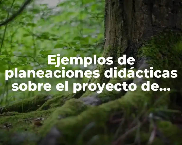 Ejemplos de planeaciones didácticas sobre el proyecto de equidad e inclusión y Significado