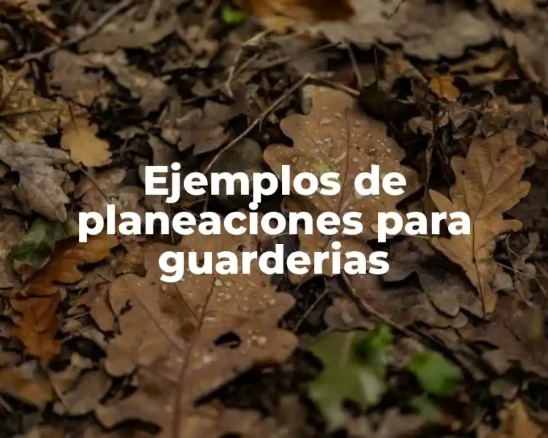 Ejemplos de planeaciones para guarderias