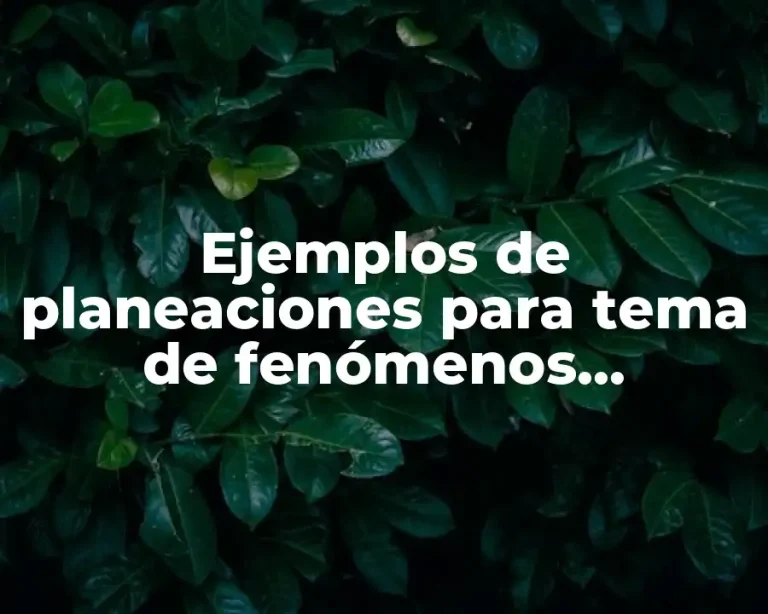 Ejemplos de planeaciones para tema de fenómenos mecánicos sexto año y Significado