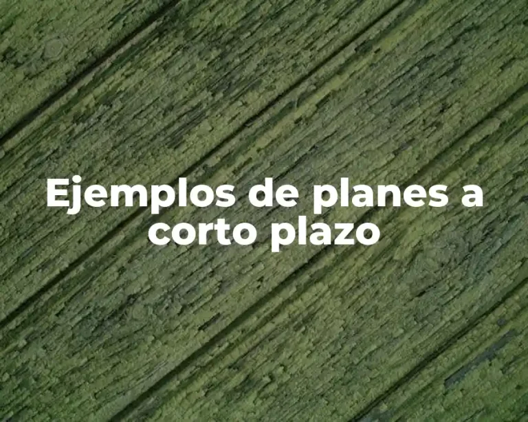 Ejemplos de planes a corto plazo