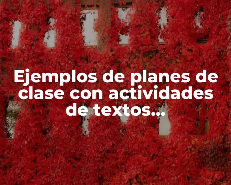 Ejemplos de planes de clase con actividades de textos instruccionales