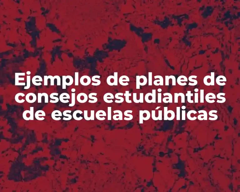 Ejemplos de planes de consejos estudiantiles de escuelas públicas
