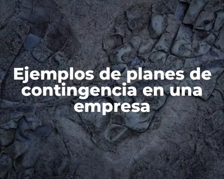 Ejemplos de planes de contingencia en una empresa