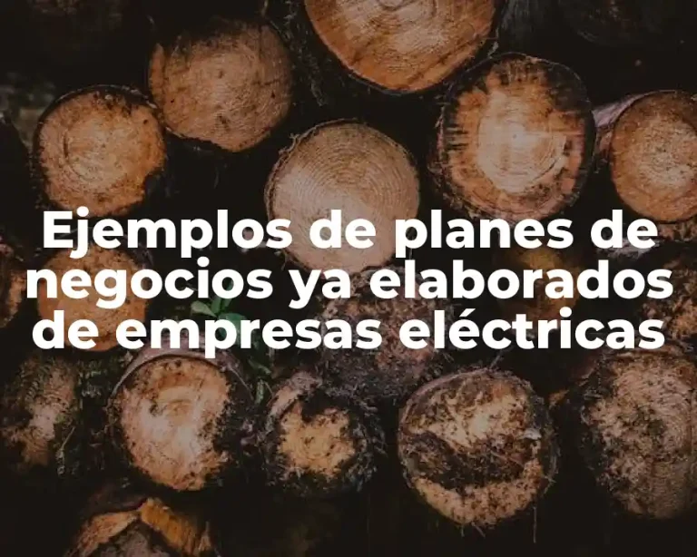 Ejemplos de planes de negocios ya elaborados de empresas eléctricas