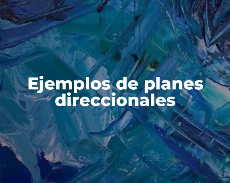 Ejemplos de planes direccionales