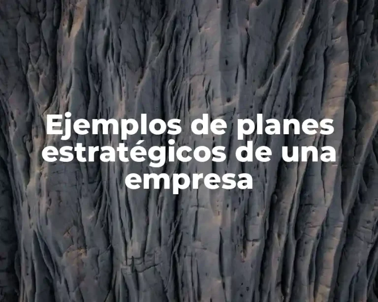 Ejemplos de planes estratégicos de una empresa