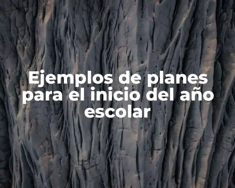 Ejemplos de planes para el inicio del año escolar