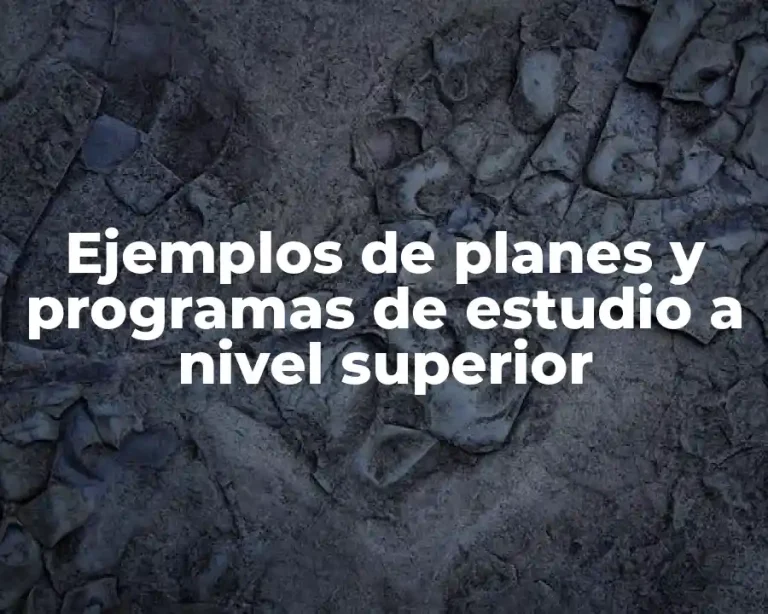 Ejemplos de planes y programas de estudio a nivel superior