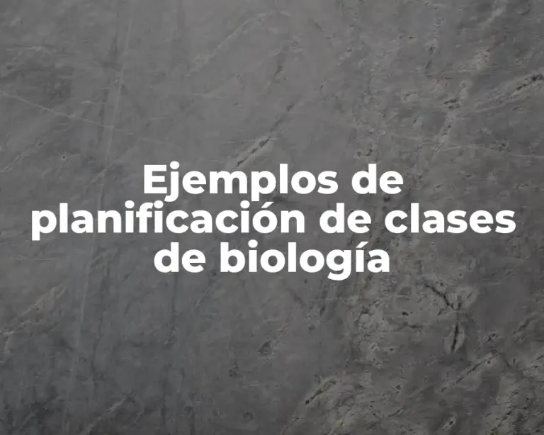 Ejemplos de planificación de clases de biología