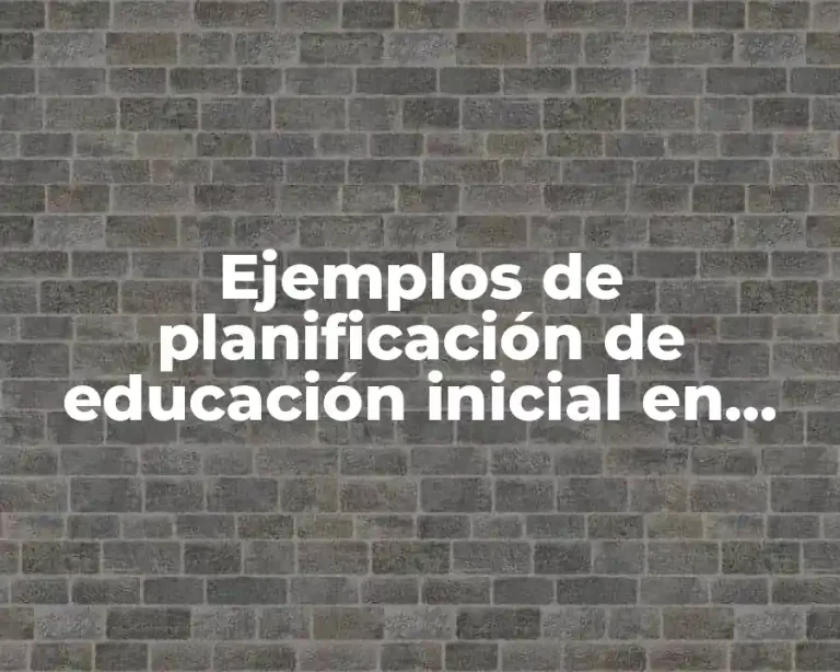 Ejemplos de planificación de educación inicial en Ecuador