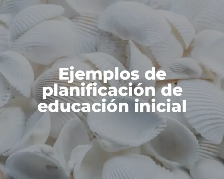 Ejemplos de planificación de educación inicial