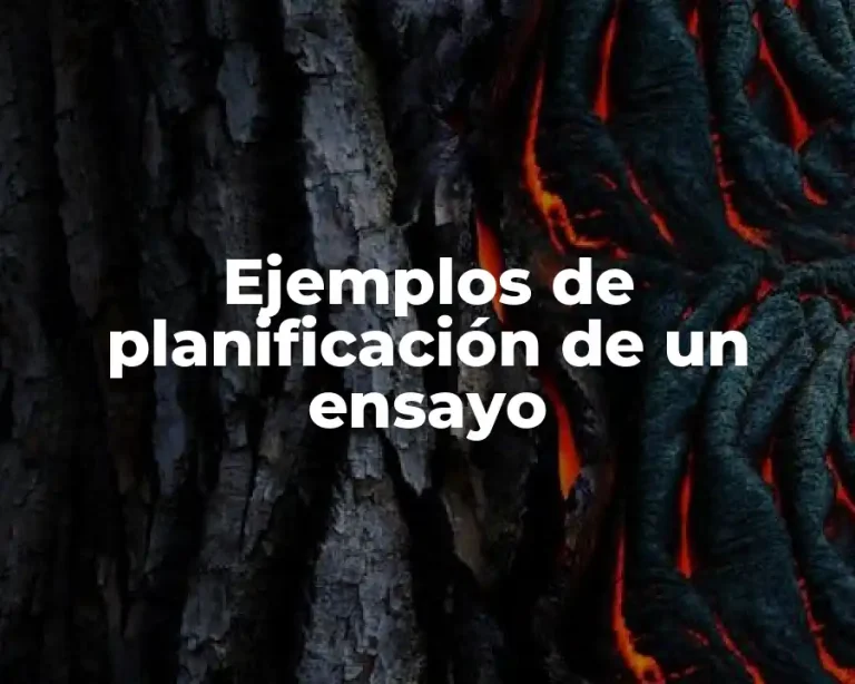 Ejemplos de planificación de un ensayo