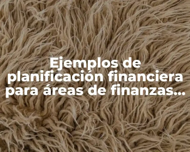 Ejemplos de planificación financiera para áreas de finanzas en empresas