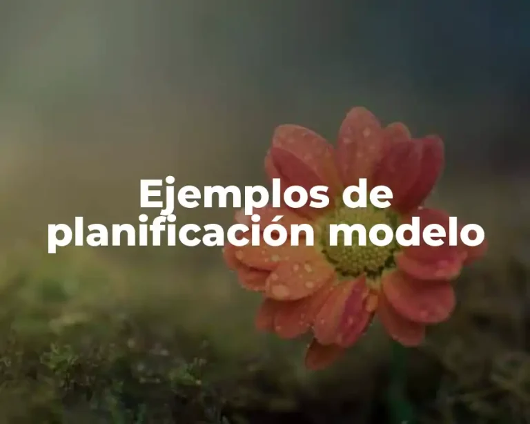 Ejemplos de planificación modelo