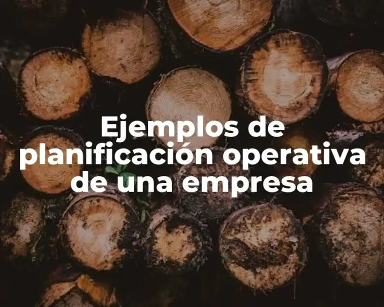 Ejemplos de planificación operativa de una empresa