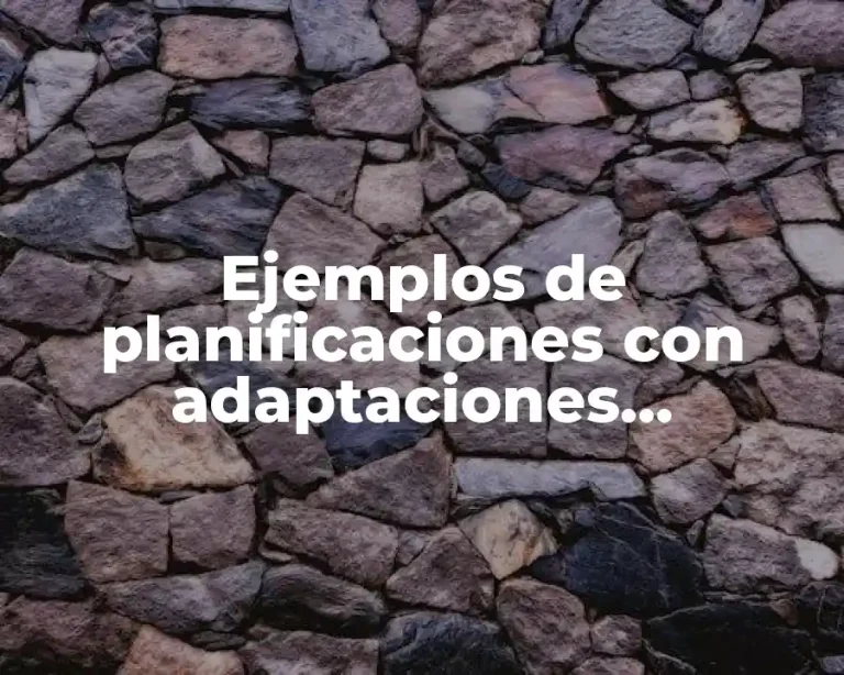 Ejemplos de planificaciones con adaptaciones curriculares y Significado