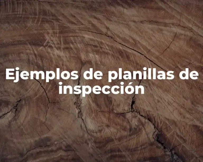Ejemplos de planillas de inspección