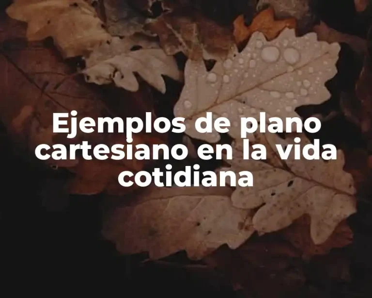 Ejemplos de plano cartesiano en la vida cotidiana