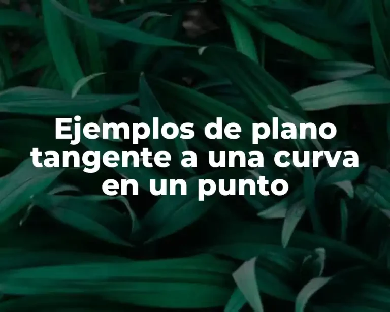 Ejemplos de plano tangente a una curva en un punto