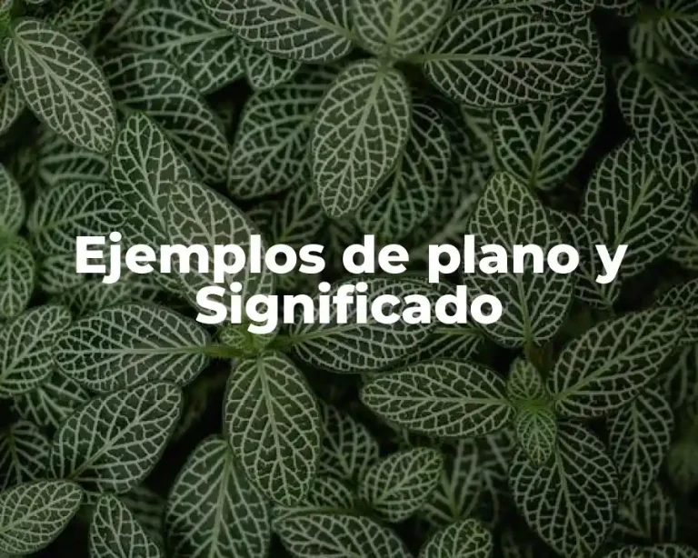 Ejemplos de plano y Significado